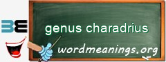 WordMeaning blackboard for genus charadrius